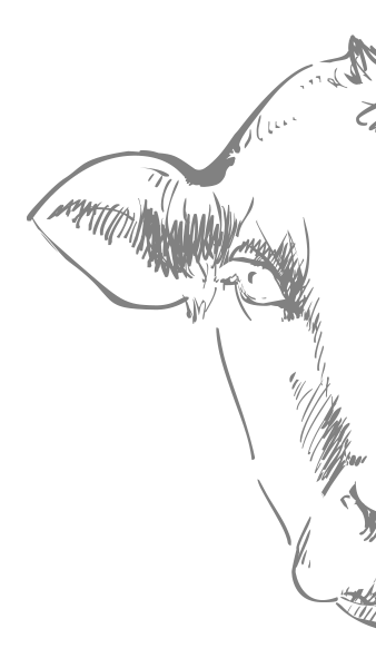 logo_halb.png